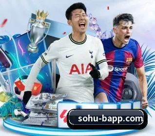 B体育 APP 界面